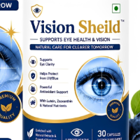 visionsheild