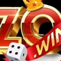zowinznet