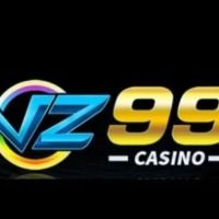 vz99uicom