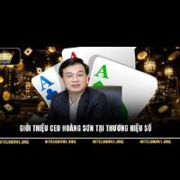 ceohoangson
