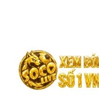 socolivezcc