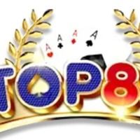 top88visionvn