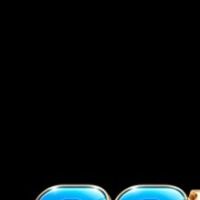 88RPSVIPCOM