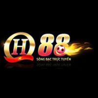 QH88-31cd4973